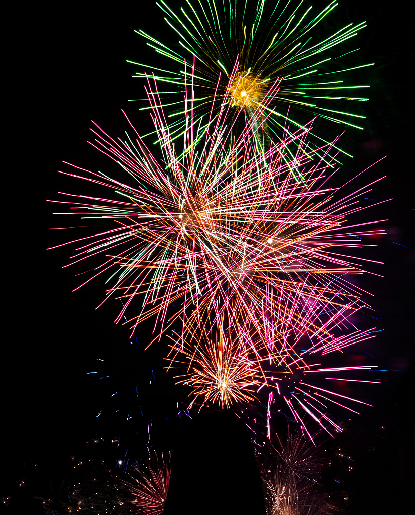 Feu d'artifice Romans-sur-Isère vertical © Alicia Pioche