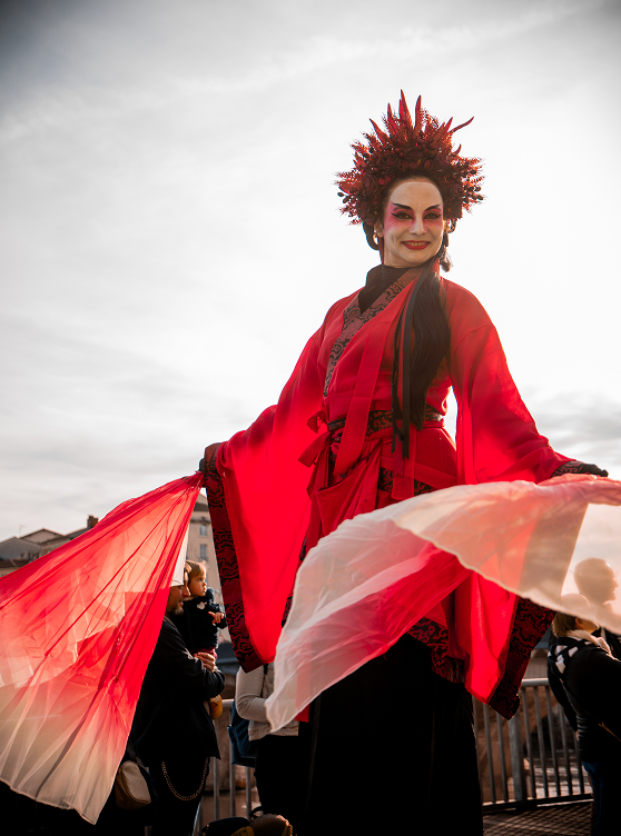 Figurante au carnaval vertical Romans-sur-Isère 2026 © Alicia Pioche