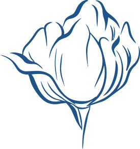 Icone rose bleu