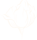 Logo d'une Rose